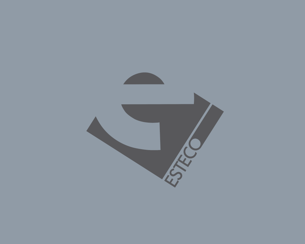 Digital Engineering Solutions Esteco Digital Engineering Solutions Esteco