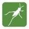 Grasshopper